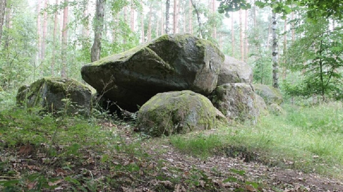 Grosssteingrab im Naturpark Nossentiner/Schwinzer Heide