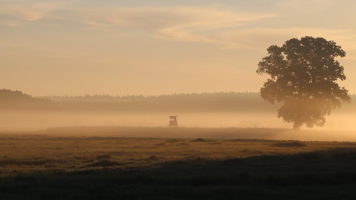 MorgentlicheHerbststimmung_RalfKoch